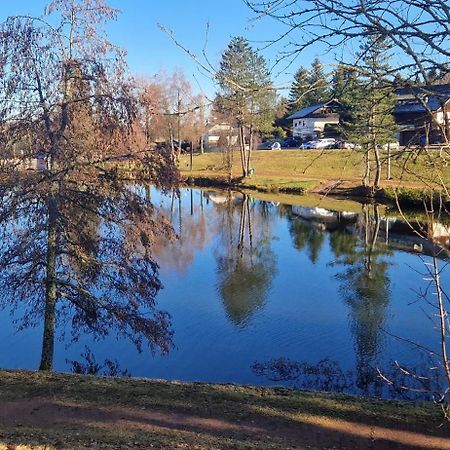 Ferienwohnung Panorama Schwarzwald Herrischried Exteriör bild